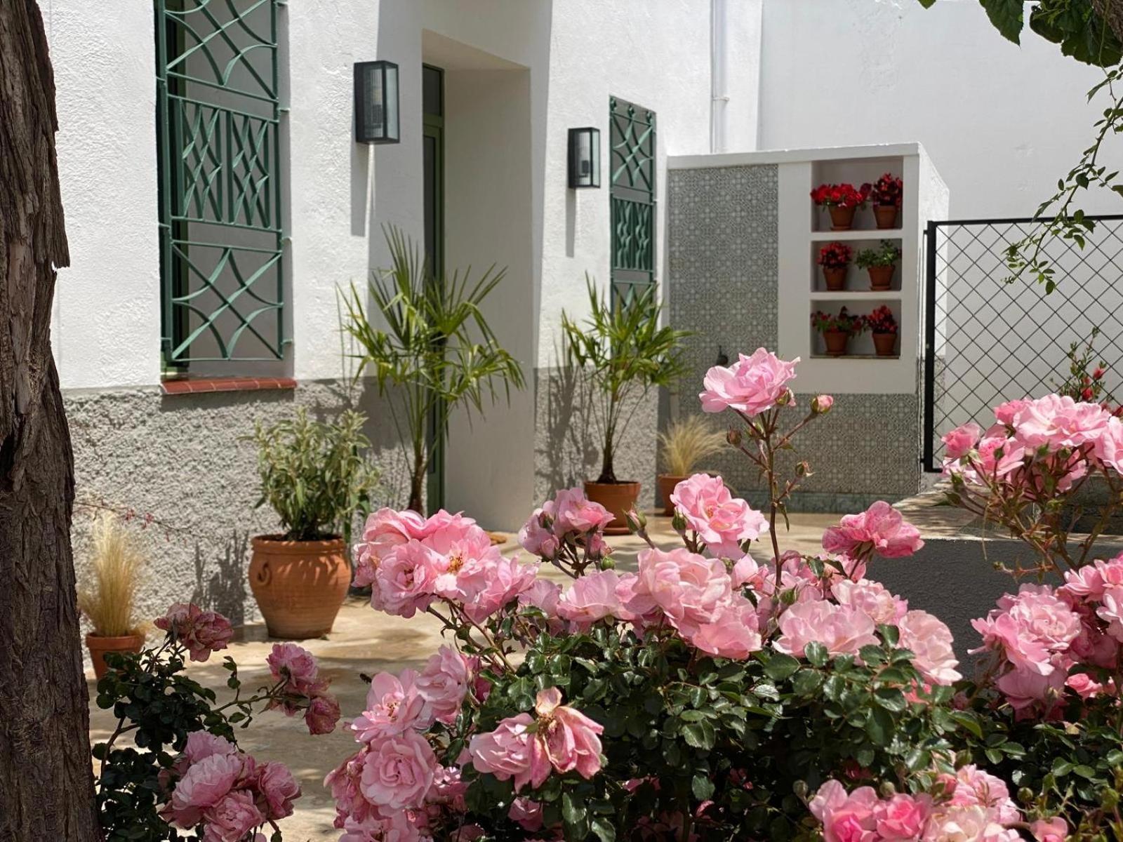 Les Filles Otel Deltebre Dış mekan fotoğraf